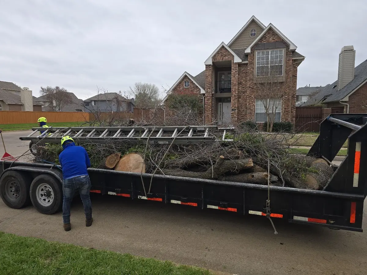 Expert Tree Removal with proper safety equipment in New Hope